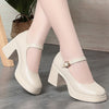 Square Toe Thick Heel  Shoes
