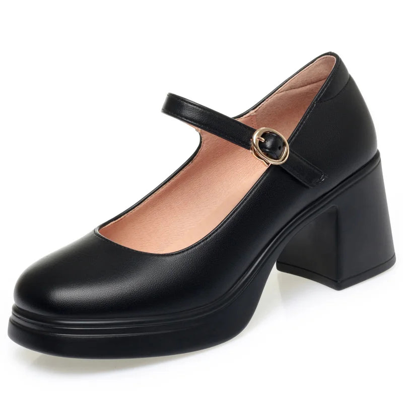 Square Toe Thick Heel  Shoes