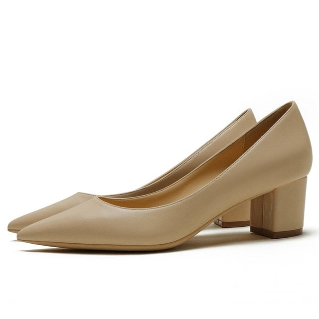 Pointed Toe Big Size Square Heels