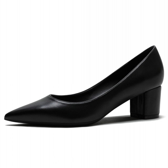 Pointed Toe Big Size Square Heels