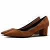 Pointed Toe Big Size Square Heels