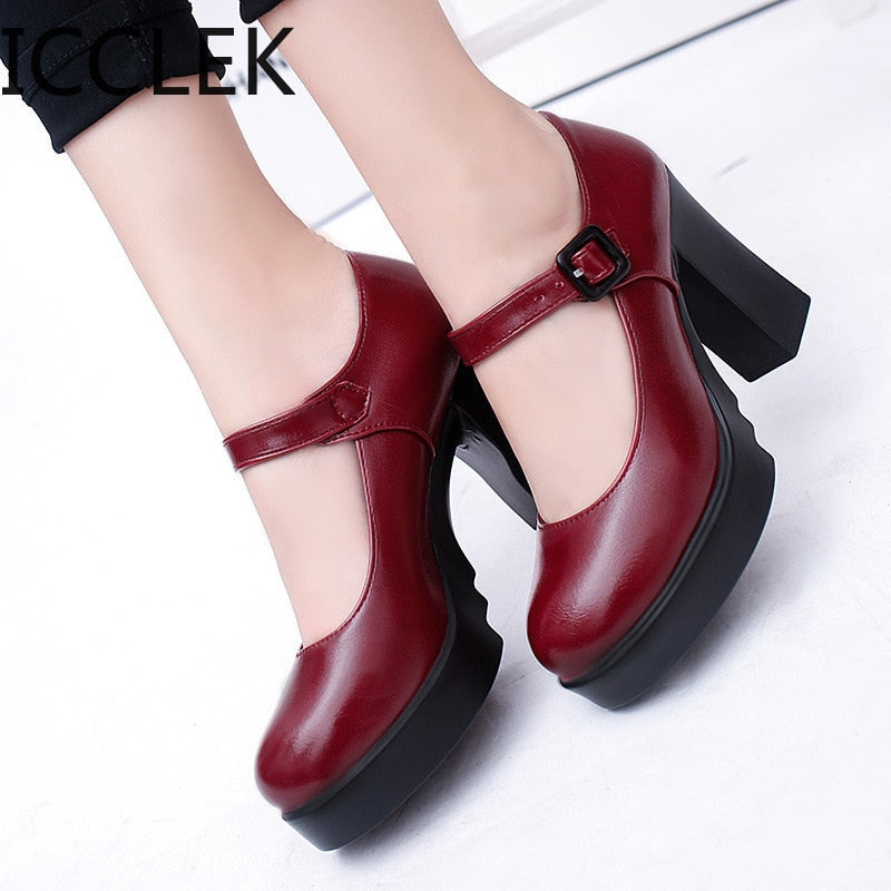Women Classic Pumps Shoes